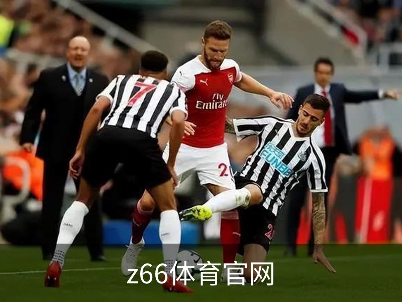z66体育官网简介